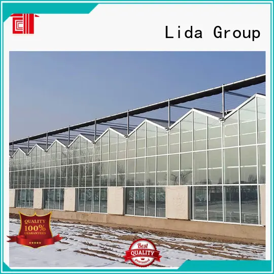 Lida Group Latest greenhouse large Supply for plant growth 1