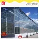 Latest arch greenhouse for business for changing the growing conditions of plant 1