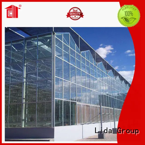 Lida Group Custom greenhouse shed combination Supply for plant growth 1