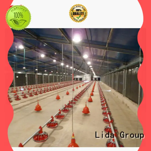 Lida Group Latest what is poultry farming Supply for poultry farm 1