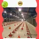 Lida Group Latest what is poultry farming Supply for poultry farm 1