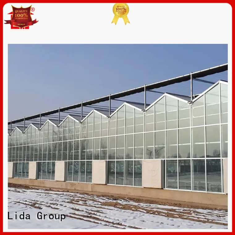 High-quality diy glass company for changing the growing conditions of plant 1