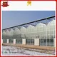 High-quality diy glass company for changing the growing conditions of plant 1