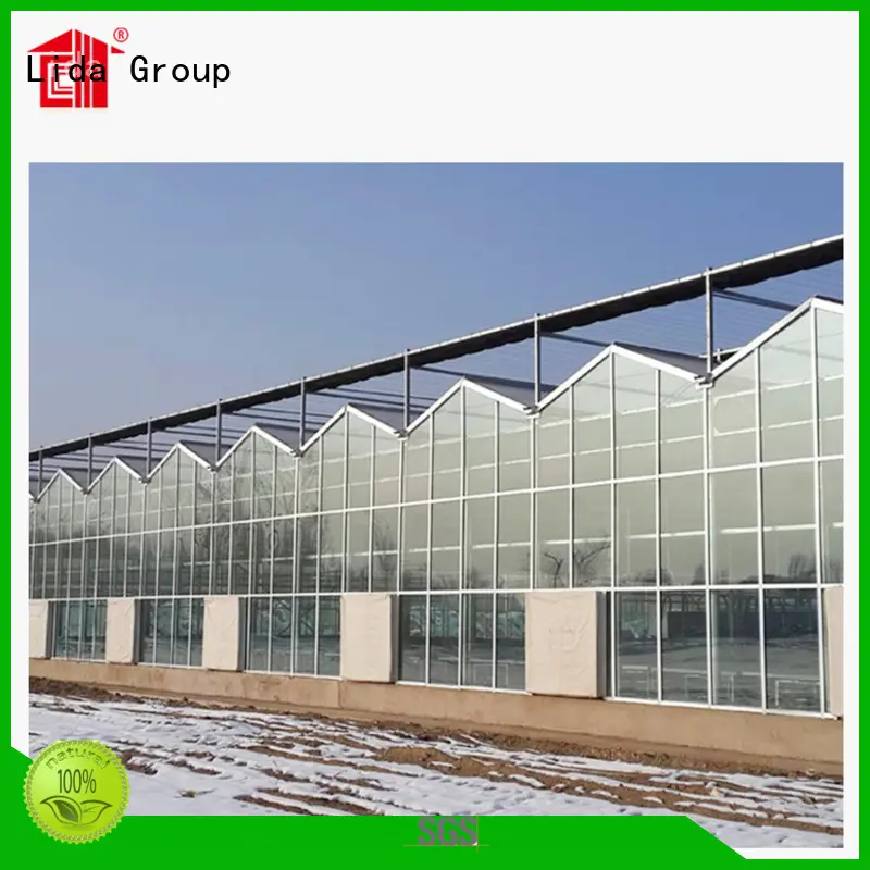 Lida Group Best walk in plastic greenhouses cheap Supply for plant growth 1