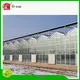 Lida Group Best walk in plastic greenhouses cheap Supply for plant growth 1