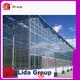 Lida Group diy greenhouse cheap company for changing the growing conditions of plant 1