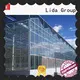 Lida Group greenhouses in my area for business for changing the growing conditions of plant 1