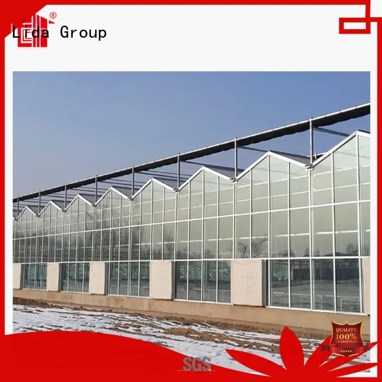 Top aluminium greenhouse manufacturers for agricultural planting 1