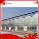 Top aluminium greenhouse manufacturers for agricultural planting 1