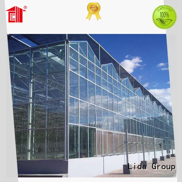 Lida Group Wholesale plastic glass house factory for agricultural planting 1