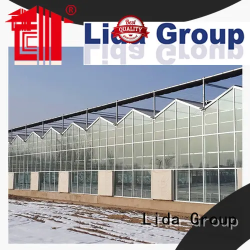 Lida Group glass greenhouses for sale company for agricultural planting 1