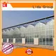 Latest greenhouses for sale lowes Suppliers for changing the growing conditions of plant 1
