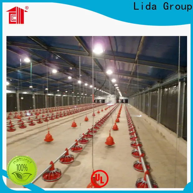 Lida Group chicken form business company for poultry raising 1
