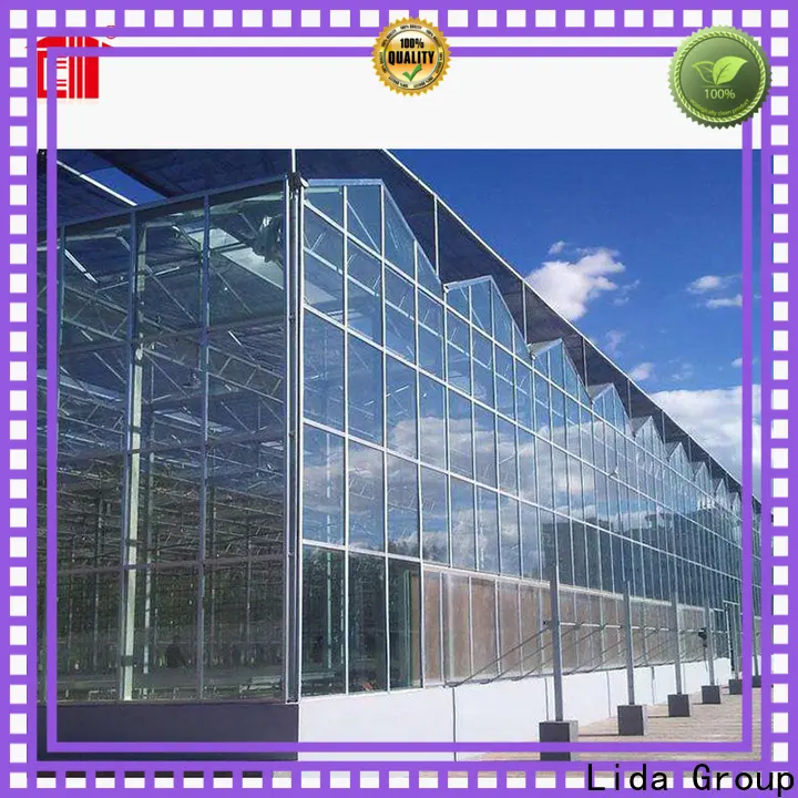 Wholesale dutch glass design manufacturers for agricultural planting 1
