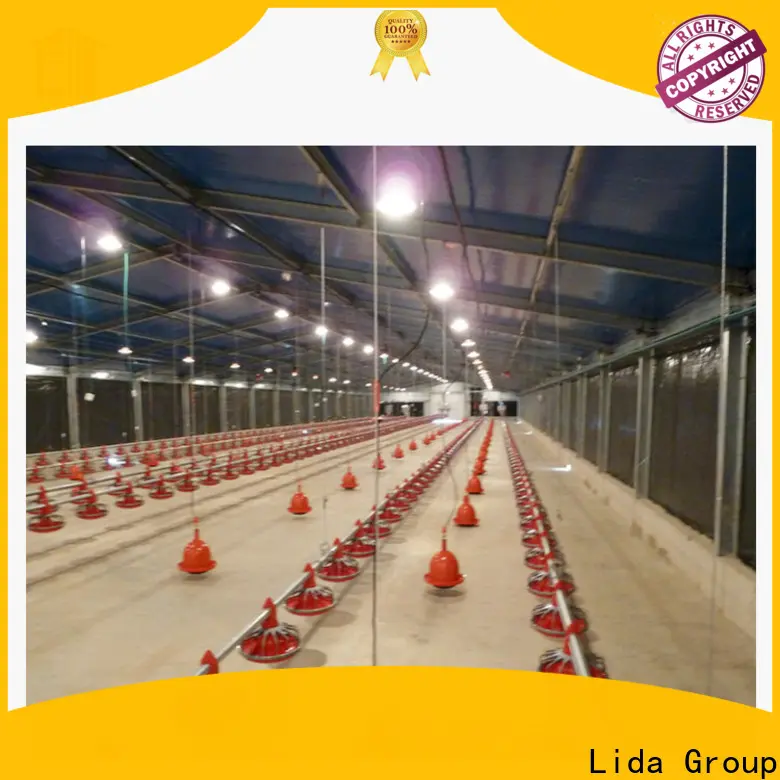 Lida Group Latest layer house poultry for business for poultry raising 1