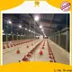 Lida Group Latest layer house poultry for business for poultry raising 1