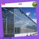Best portable glass house Supply for changing the growing conditions of plant 1