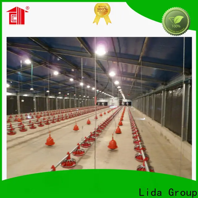 New egg poultry farm Supply for poultry farm 1