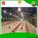 New egg poultry farm Supply for poultry farm 1