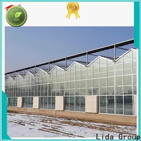 Lida المجموعة أحدث إضافة إلى الدفيئة إلى الشركة المنزلية لتغيير ظروف نمو النبات 1