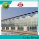 Lida Group New greenhouse production Suppliers for agricultural planting 1