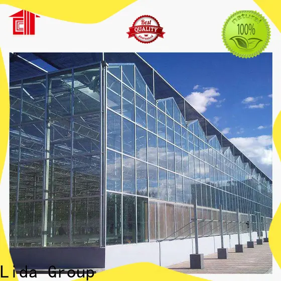 Lida Group greenhouse stores manufacturers for plant growth 1