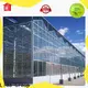 Lida Group greenhouse stores manufacturers for plant growth 1