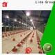 Latest modern poultry farm layout company for poultry farming 1