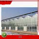 Lida Group greenhouse cooling for business for changing the growing conditions of plant 1