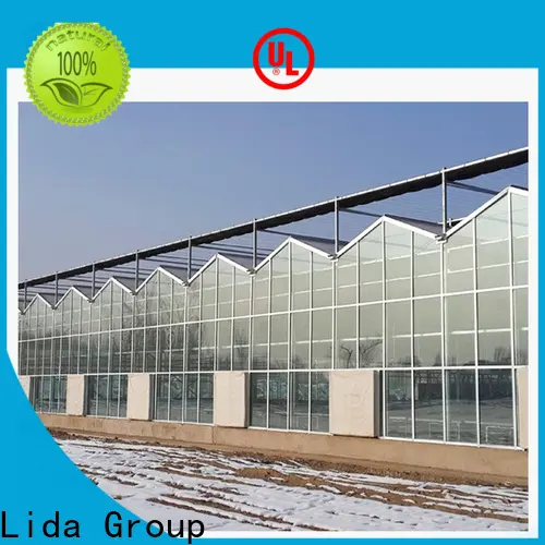 Lida Group glasshouse nursery for business for plant growth 1