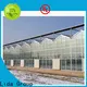 Lida Group glasshouse nursery for business for plant growth 1