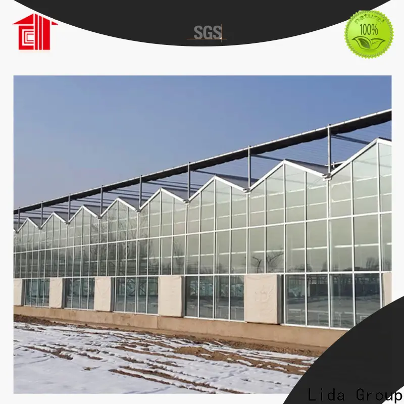 Lida Group artificial vertical garden company for changing the growing conditions of plant 1