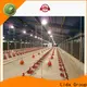 Best how to poultry farming company for poultry farming 1