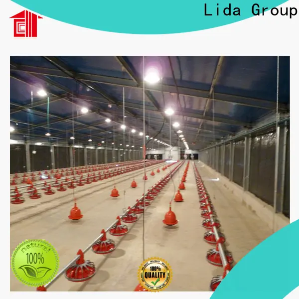 Lida مجموعة مزرعة الدجاج الحي بالجملة للأعمال التجارية لتربية الدواجن 1
