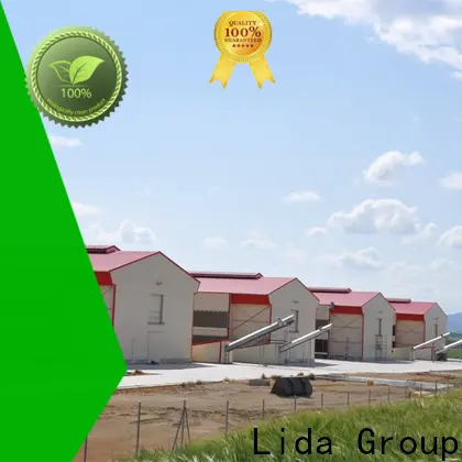 Top murgi farm business Supply for poultry raising 1