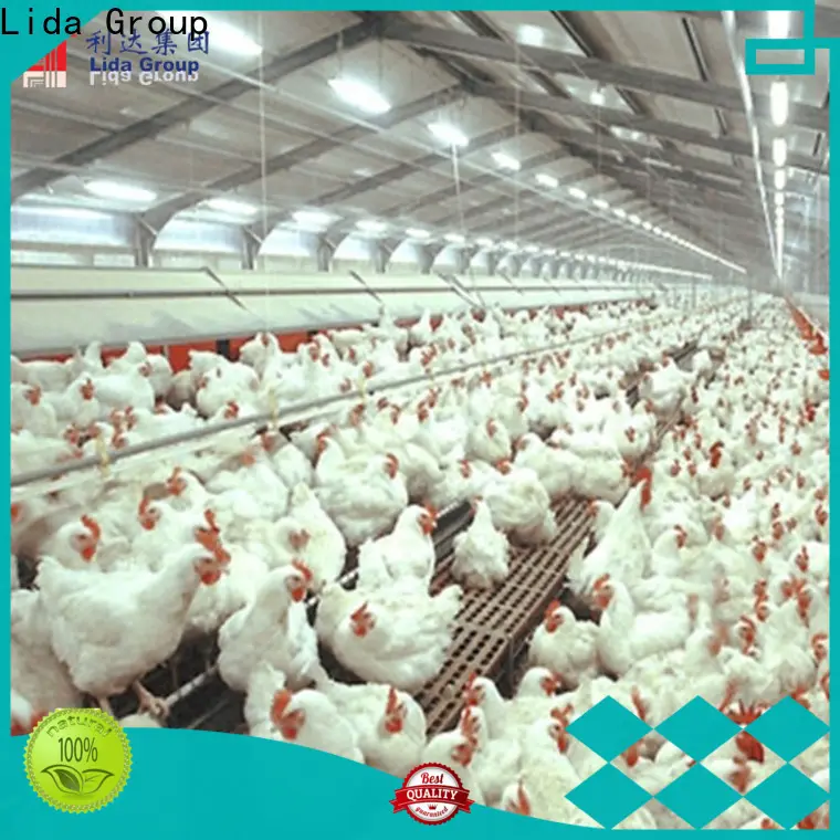 Lida Group Best broiler poultry farm layout bulk buy for poultry farm 1