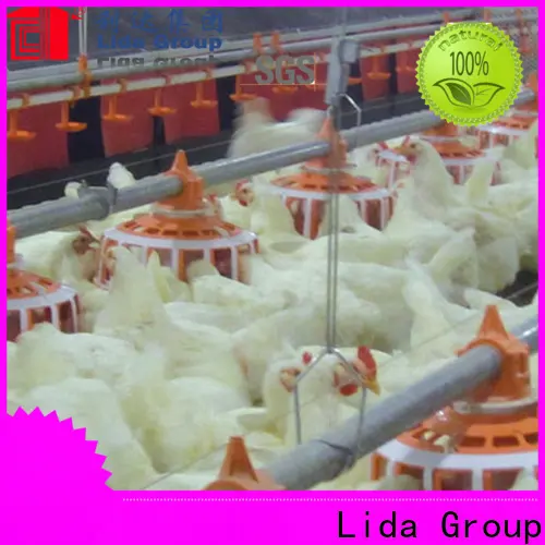 Lida مجموعة مزارع دواجن الدجاج عالية الجودة لتربية الدواجن 1