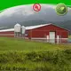 Wholesale metal buildings austin manufacturers for poultry farm 1