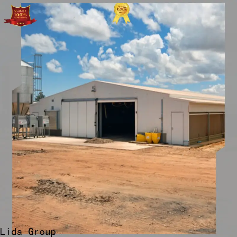Lida Fábrica de métodos de construcción de marcos de acero al por mayor del grupo para invernaderos 1