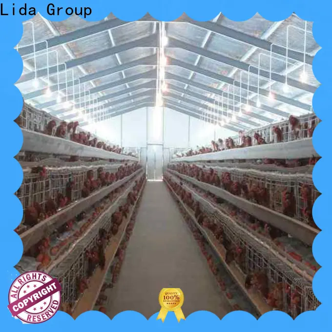 High-quality building a steel building bulk buy for poultry farm 1