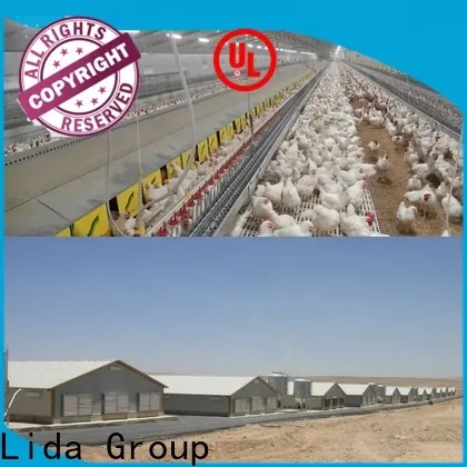 Lida Grupo Nuevo diseño de gallinero para aves de corral, compra a granel para cría de aves de corral. 1
