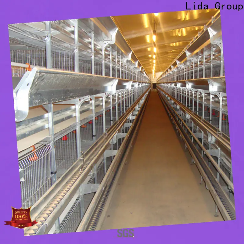 Lida Group Best poultry control shed design bulk buy for poultry farm 1