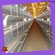 Lida Group Best poultry control shed design bulk buy for poultry farm 1