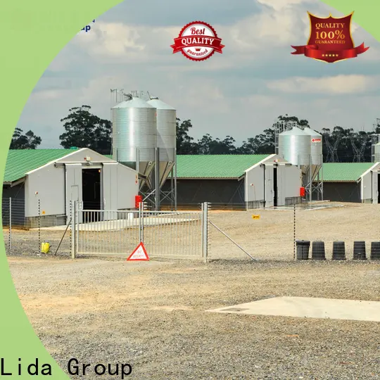 Lida Grupo Mejores proveedores de gestión de gallineros para avicultura 1
