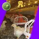 Lida Group Top range type poultry house company for poultry farming 1