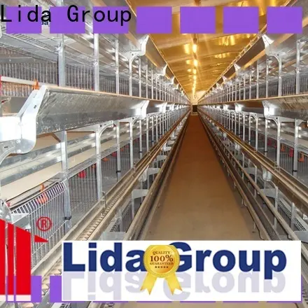 Lida Grupo quiero iniciar un negocio de granjas avícolas Suministro para la avicultura 1