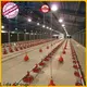 Latest how to make poultry farm factory for poultry farming 1