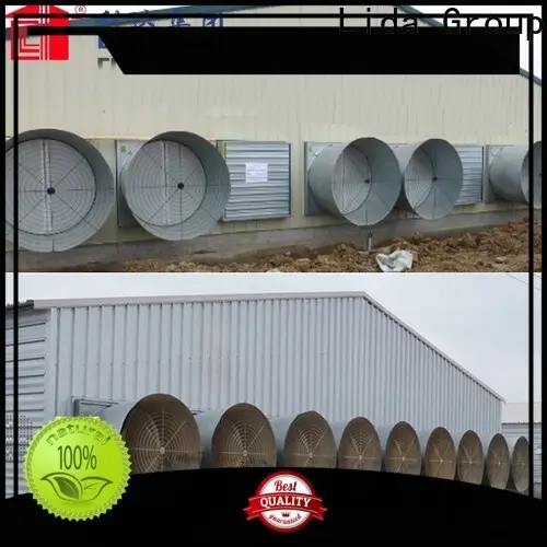 Lida Grupo Lo último en cómo administrar una granja avícola, compra a granel para la avicultura 1