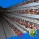 Lida Group modular garage with loft bulk buy for Movable Shop 1