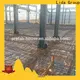 New steel building layout factory for poultry farm 1